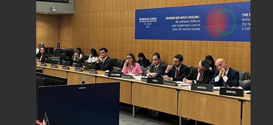 Viceministra participó en la Reunión Ministerial del Consejo de la OCDE
