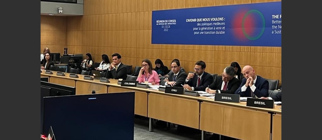 Viceministra participó en la Reunión Ministerial del Consejo de la OCDE